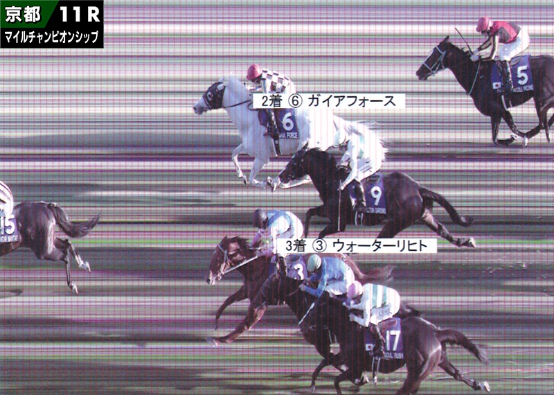 2025年 マイルチャンピオンシップ JRA