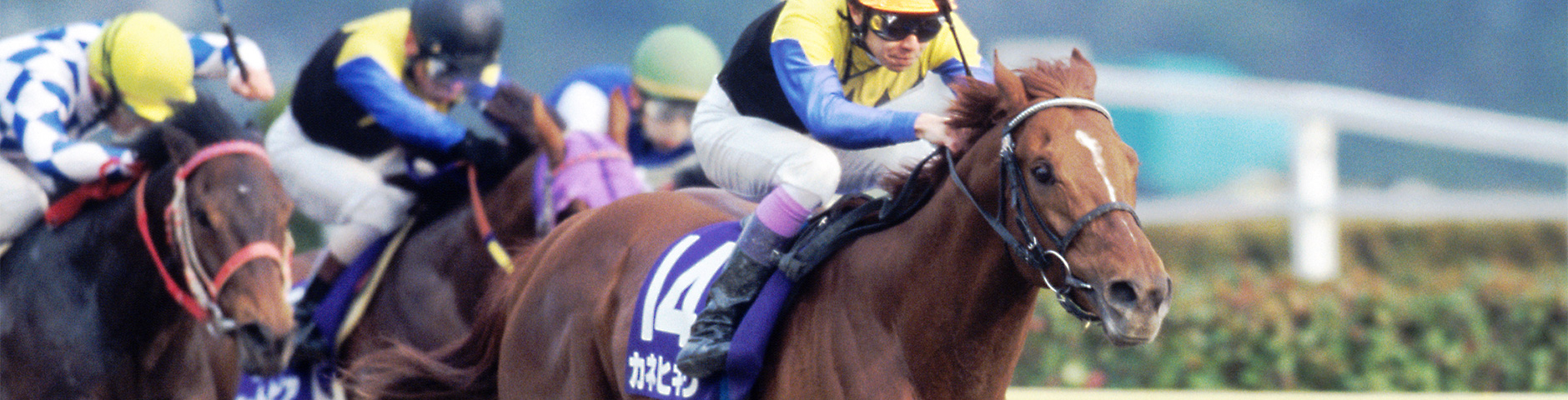 カネヒキリ｜3分でわかった気になる名馬 JRA