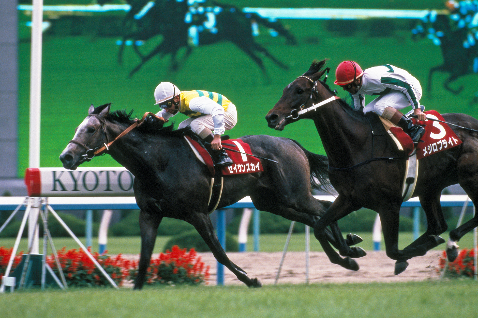 セイウンスカイ｜3分でわかった気になる名馬 JRA