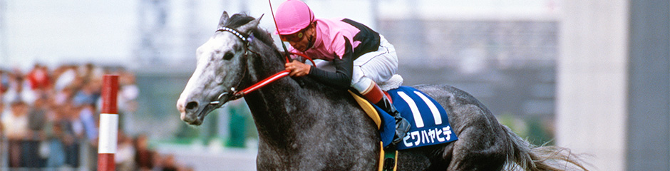 ビワハヤヒデ｜3分でわかった気になる名馬 JRA