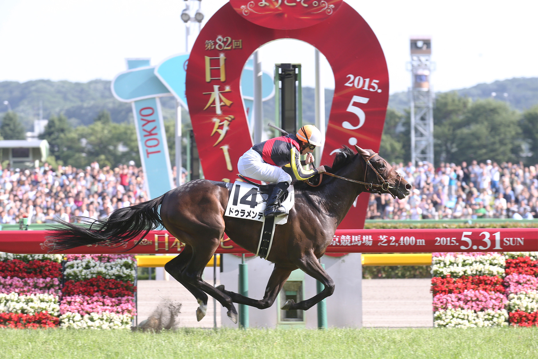 ドゥラメンテ｜3分でわかった気になる名馬 JRA