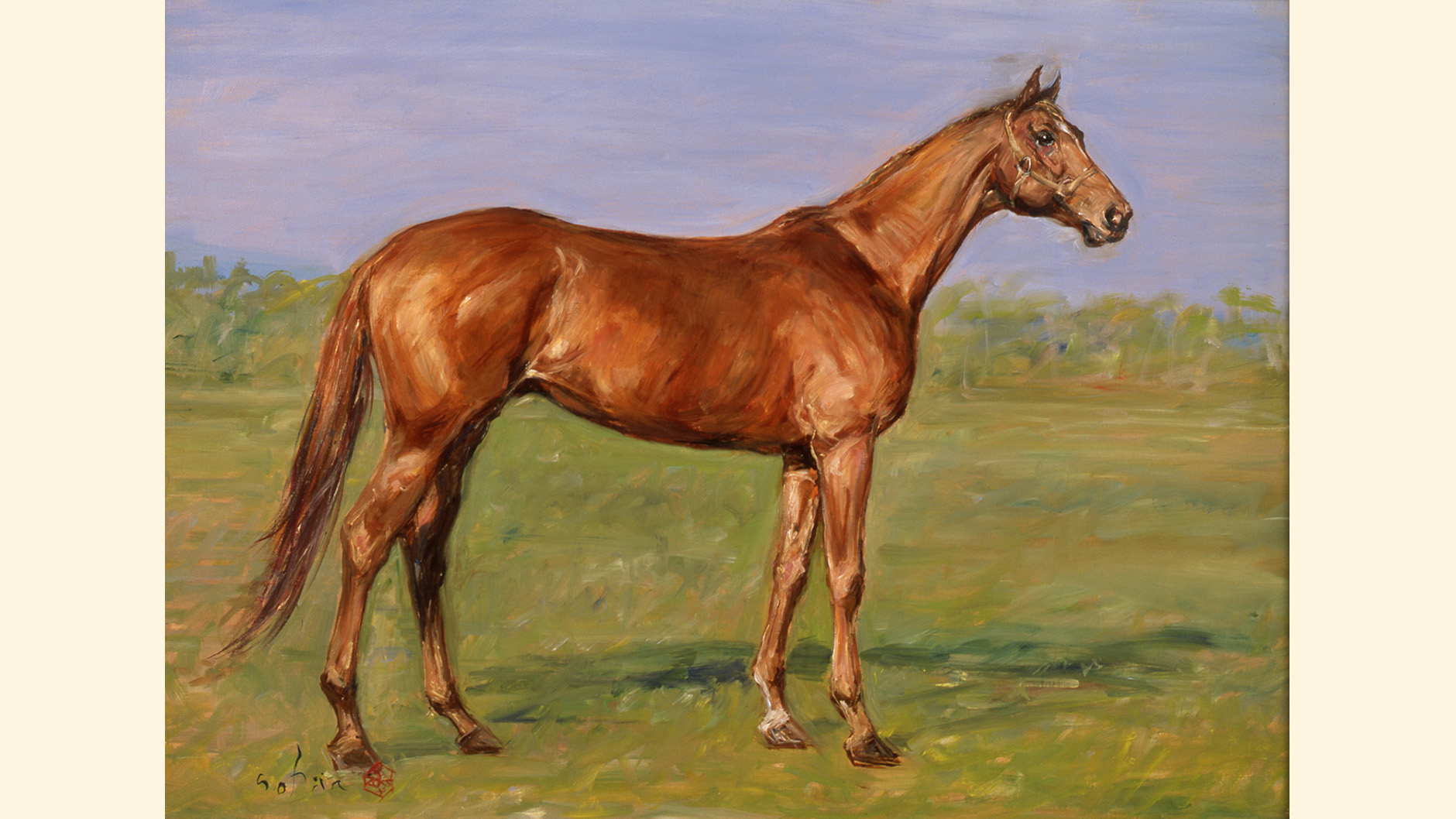 テンポイント：競馬の殿堂 JRA