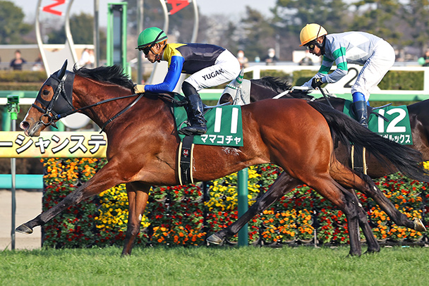 出走馬情報：高松宮記念 今週の注目レース JRA