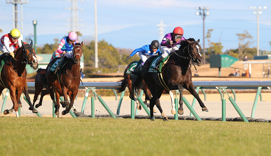 歴史・コース：日刊スポーツ賞シンザン記念 今週の注目レース JRA