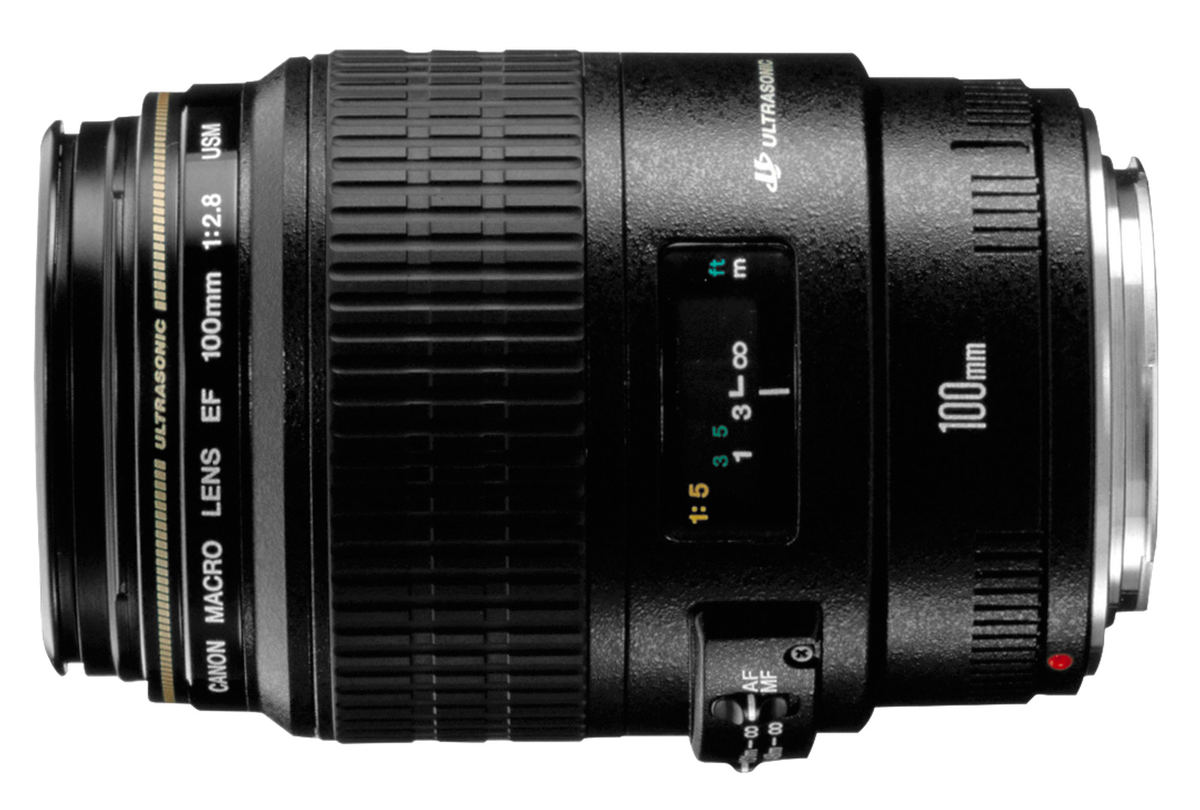 Canon EF 100mm f/2.8 Macro USM : Specifications and Opinions