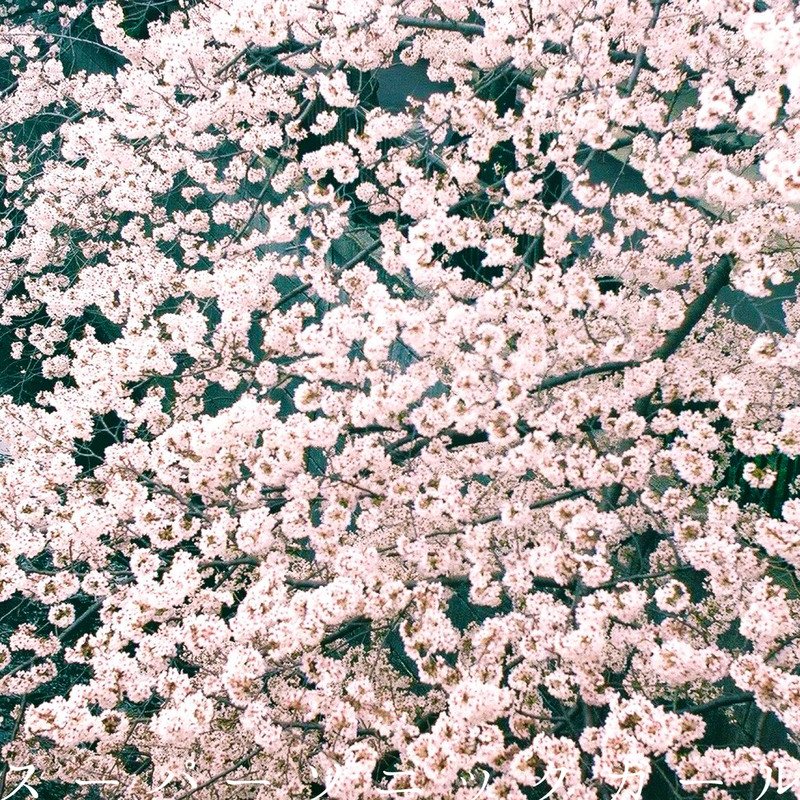 ズーカラデル | スーパーソニックガール | ビクターエンタテインメント