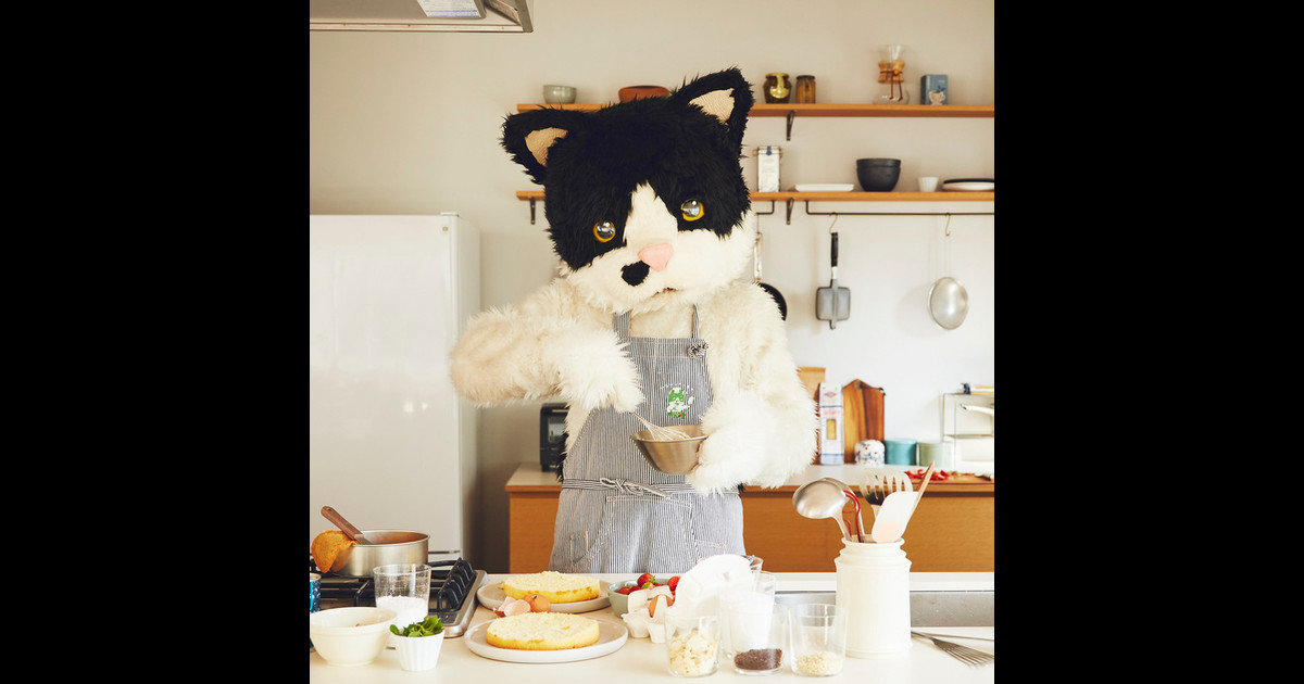 むぎ(猫) | スピードスターレコーズ