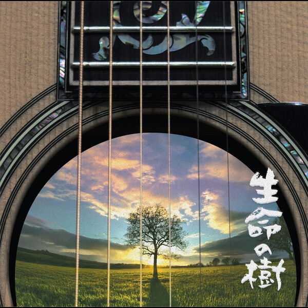 さだまさし | 生命の樹～Tree of Life～ | ビクターエンタテインメント