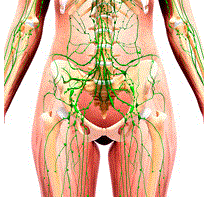 NL（神経リンパ反射ポイント）この方法はリンパ循環を良くする方法です