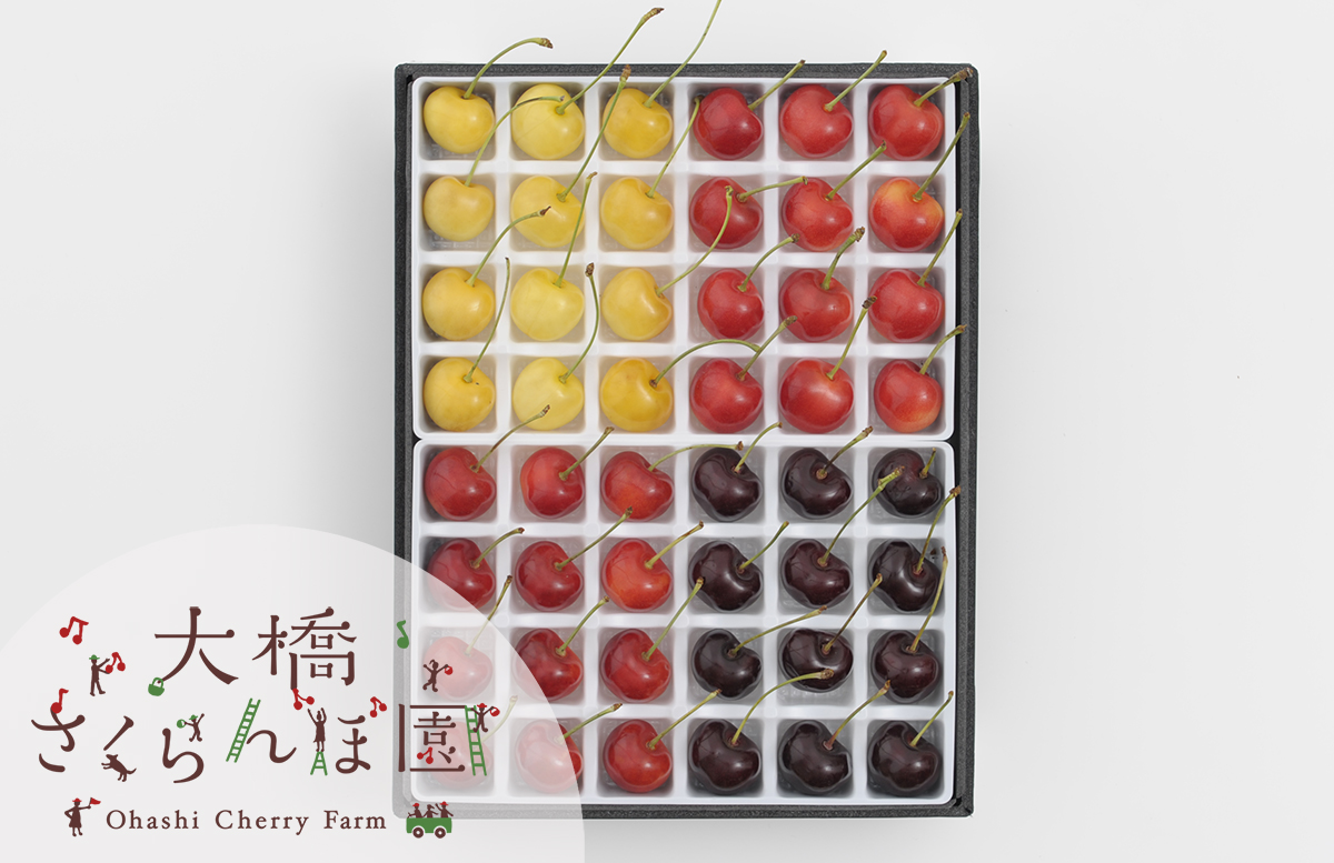 さくらんぼ通販 4色スペシャル通販｜さくらんぼ通販なら大橋さくらんぼ