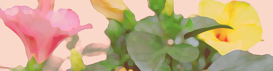 東山魁夷 宵桜(新復刻画) | 絵画など美術品の販売と買取 | 東京・銀座