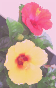 笹倉鉄平 エデルシュタイン村へ～Twinking Like Diamonds～ | 絵画など