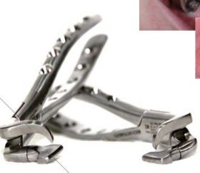 ミッシュ パワーエレベーター − 製品情報｜OralStudio オーラルスタジオ