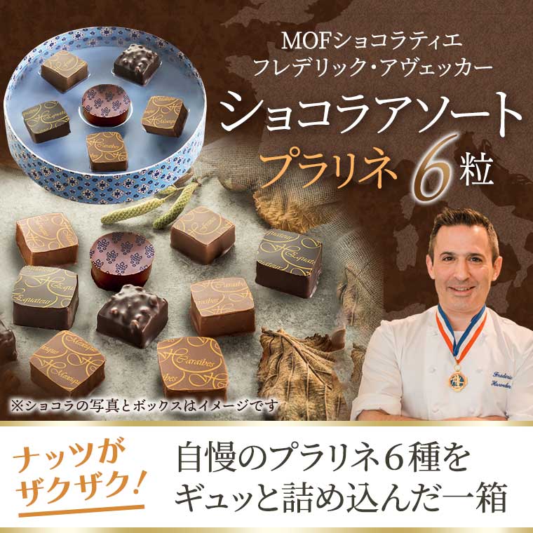 MOF フレデリック アヴェッカー】ショコラアソート プラリネ6粒II