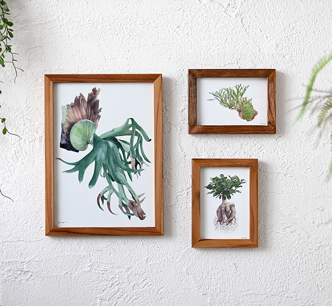 yomogi ボタニカルアート | ゼネラルストア オルネ