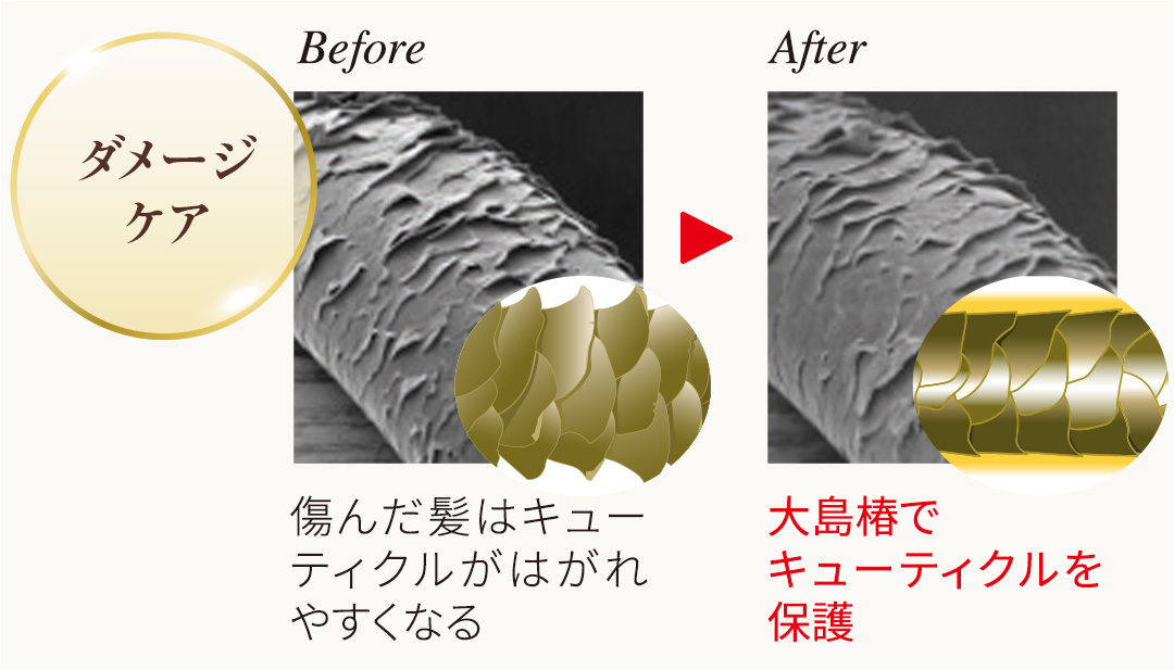 ヘアカラートリートメント ナチュラルブラック | 大島椿公式オンライン