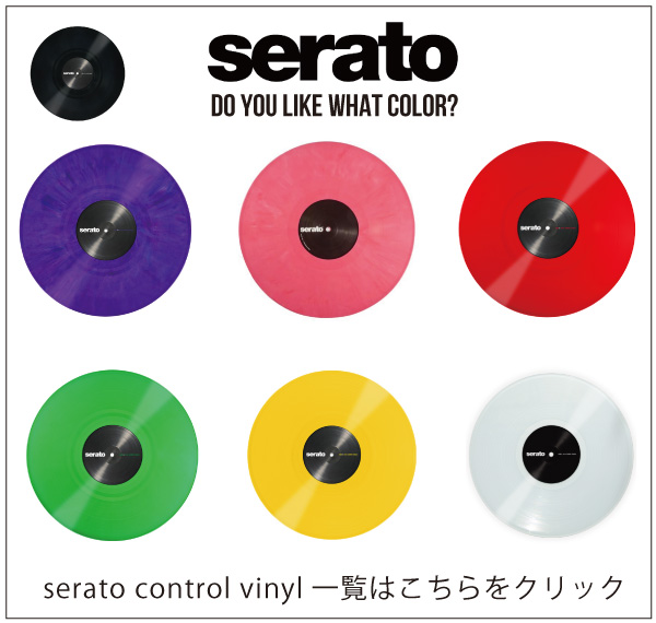 在庫限り！12インチ盤2枚組！Serato DJ Pro/DVS用コントロールバイナル