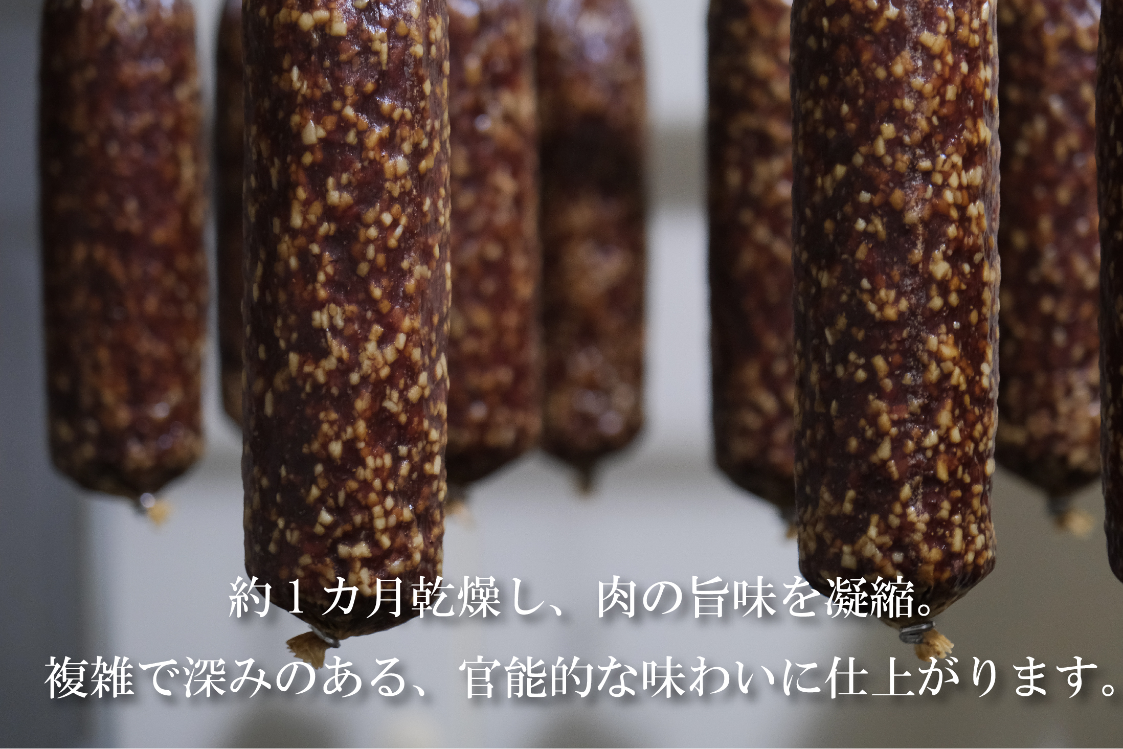 熟成サラミ 300g 大多摩ハム ネットショップ