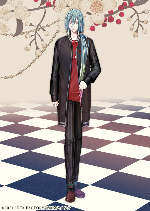 白と黒のアリス for Nintendo Switch