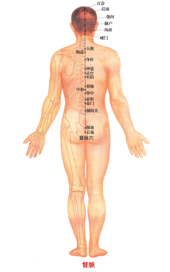 経絡～督脈・翁鍼灸治療院