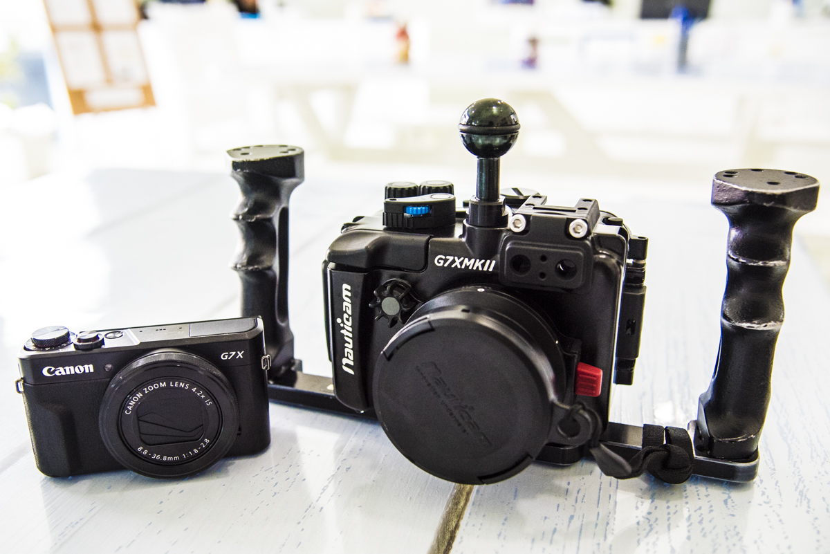 キヤノン PowerShot G7 X Mark II の水中撮影 | ワールドダイビング