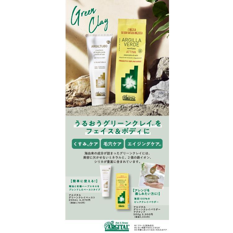 グリーンクレイパウダー アクティブ 500g: コスメ＆ビューティー