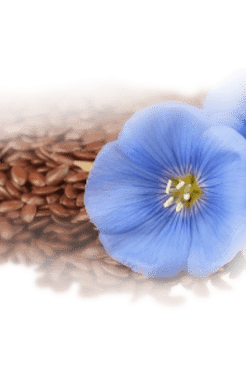 VALMONT |レリクシール デ クラシエ | ユイル マジェステューズ