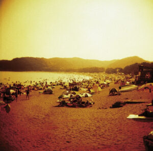 Lamp / Official Site