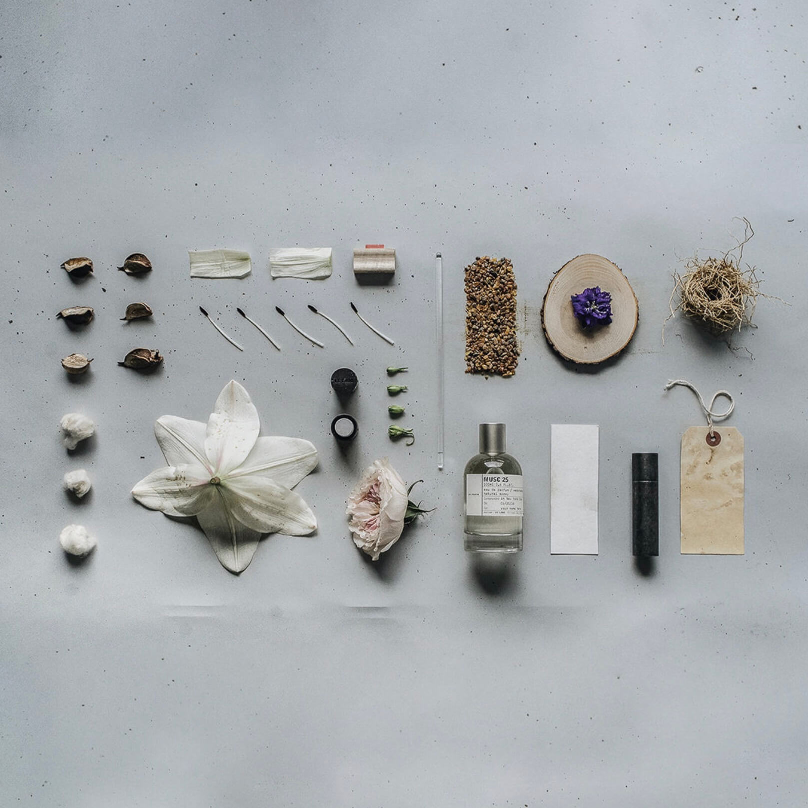 MUSC 25 – ル ラボ 公式オンラインショップ