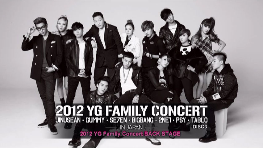 YG Family - 2012 YG Family Concert in Japan 2012 [3DVD ISO 16.6GB