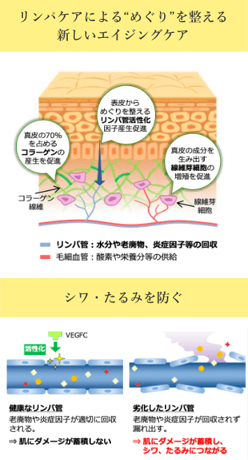 新品オールインワンDLAマッサージジェルαプラス800g詰め替え用