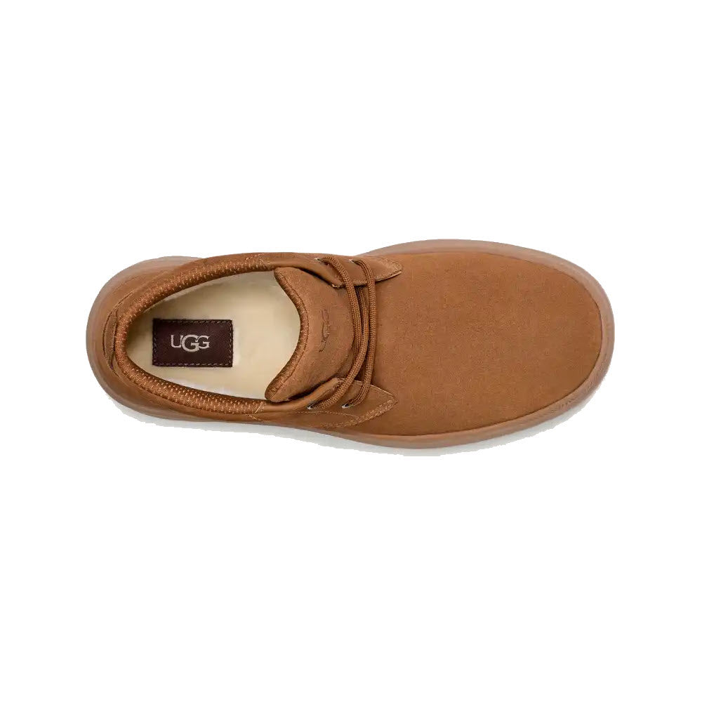 UGG BURLEIGH CHUKKA WATERPROOF BOOT CHESTNUT - MENS - Lamey