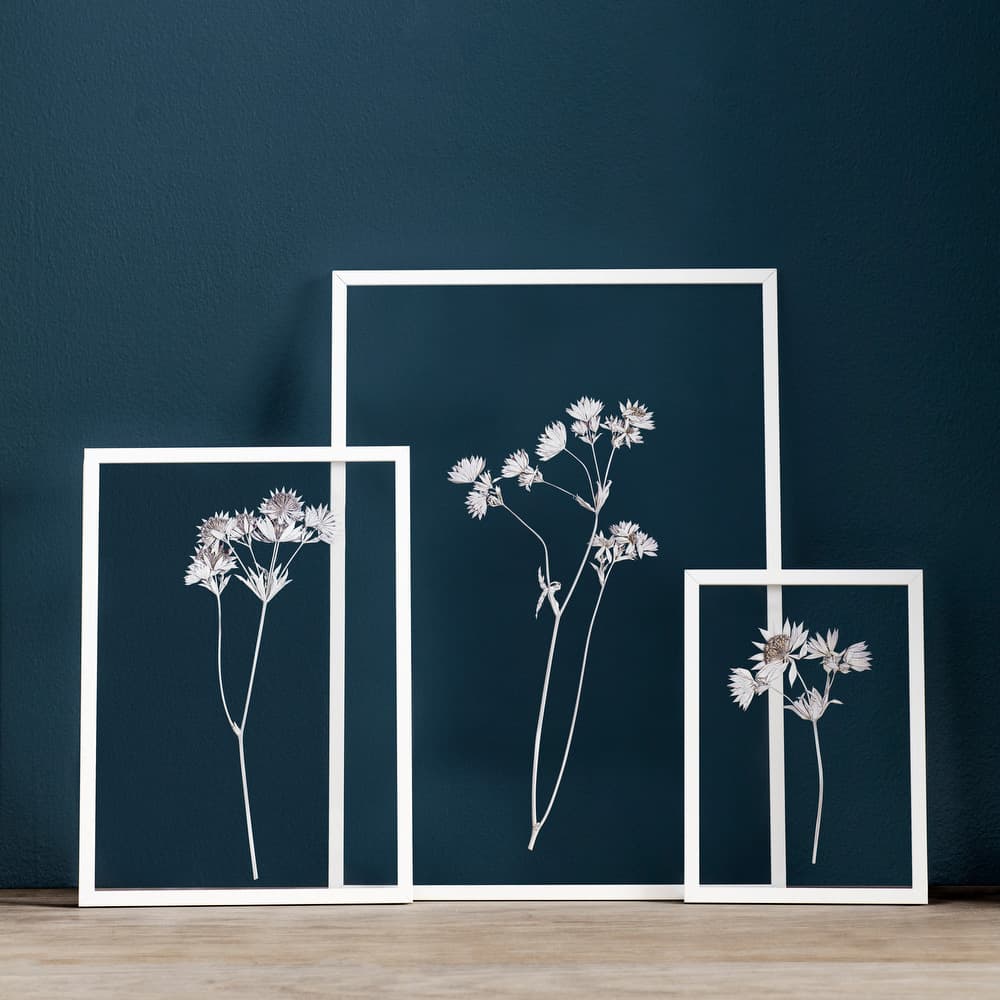 Moebe フレーム A2 ホワイト(A2 ホワイト)：ポスター & アーティスト