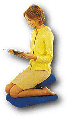 座椅子タイプのバランスチェア！HAGバランスマルチシット｜問屋卸し