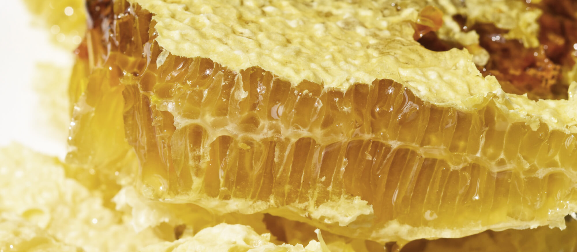 スキンパワー | MONNALI