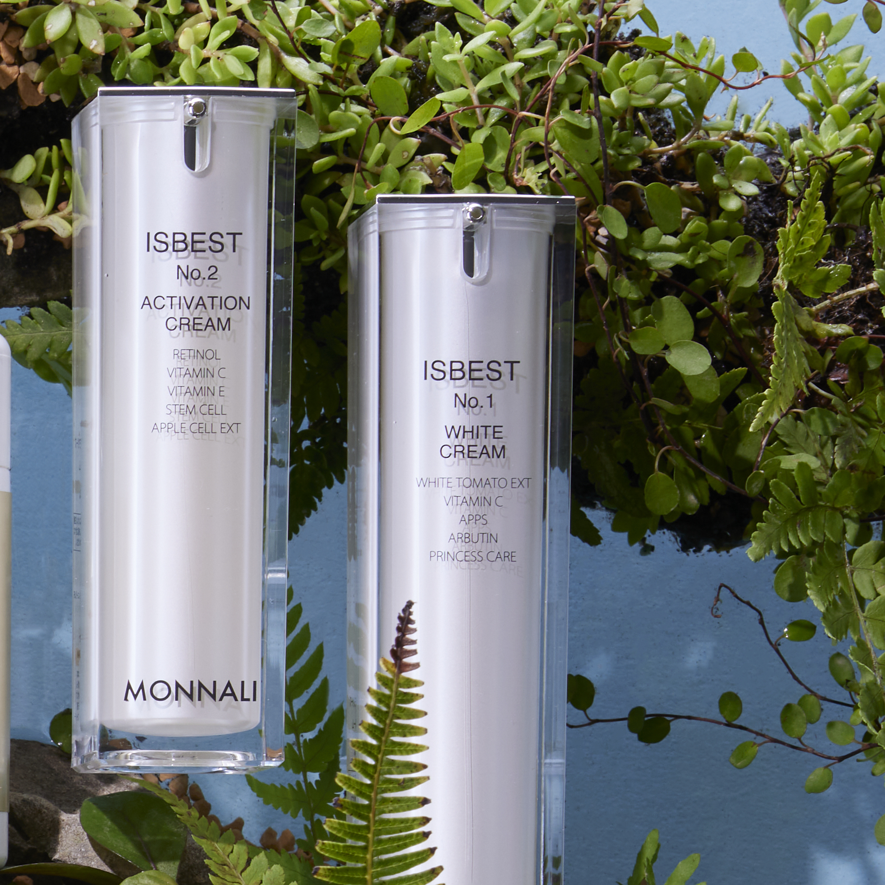 ミハツ クレンジングシャンプー | MONNALI