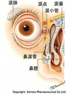 流涙症（なみだが溢れる病気）その2 涙道閉塞症 | 栃木県小山市の眼科