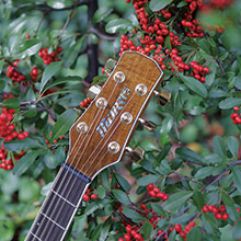 TF-805 | 生産完了品 | MORRIS GUITARS モーリスギター