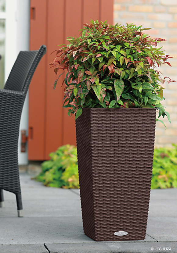 コテージ | レチューザ・エコノミー | 松尾貿易商会