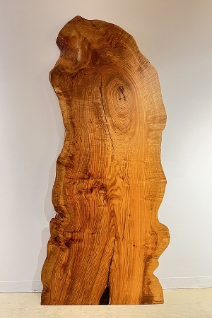 神奈川県 海老名店展示 一枚板 水目桜材 テーブル用天板 セール｜一枚