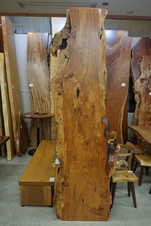 天然木 東京 新宿 東五軒町店展示 欅（けやき・ケヤキ）材 一枚板