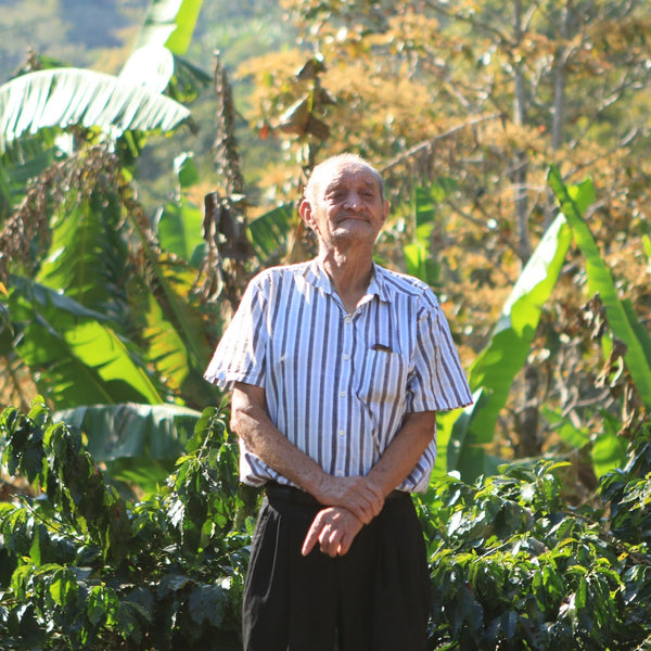 Miguel Ortiz Honduras Single Origin – Madcap Coffee Company