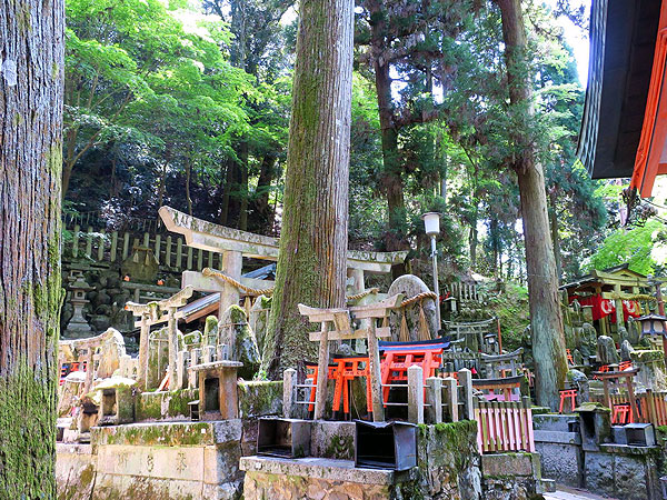 稲荷】神社ガイドと伏見稲荷お山めぐり、聖地・稲荷山の神秘:～千本