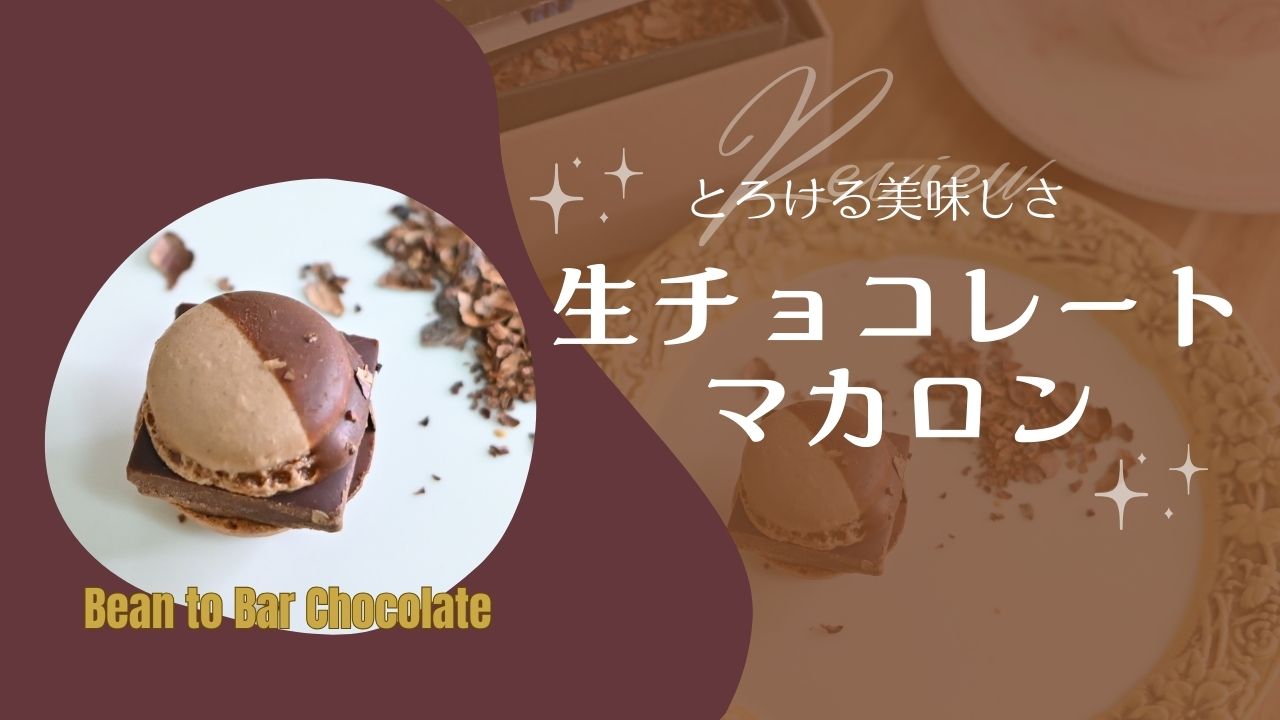 1粒に1週間？とろける「生チョコレートマカロン」を食べてみた