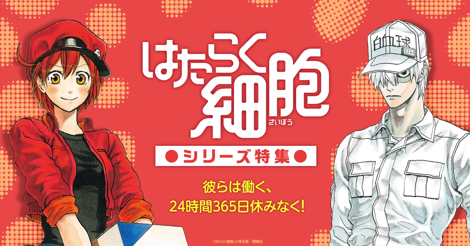 はたらく細胞 (1-6巻 全巻) | 漫画全巻ドットコム