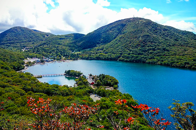 赤城山の恵み | まるだい