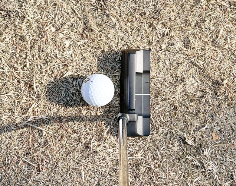 試打評価】リンクス ステップオーバー25パターチッパー｜異次元の優し