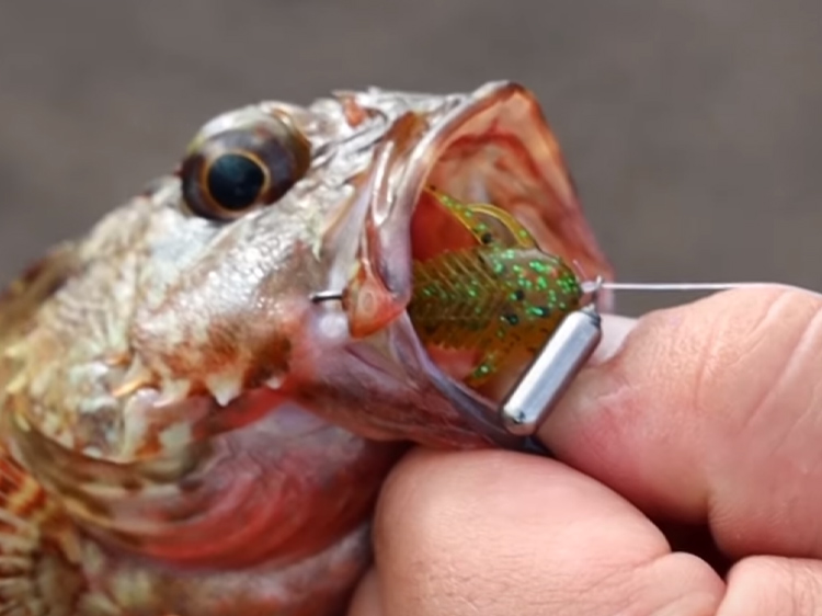 SL-82MLS | Megabass-メガバス