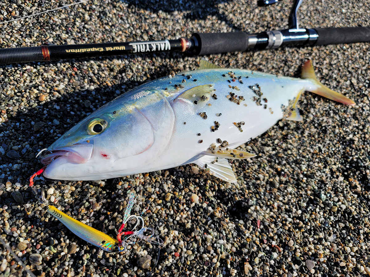 パックロッドのススメ | Megabass-メガバス