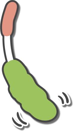 NARUTO -ナルト- ニャルト！ 特設ページ